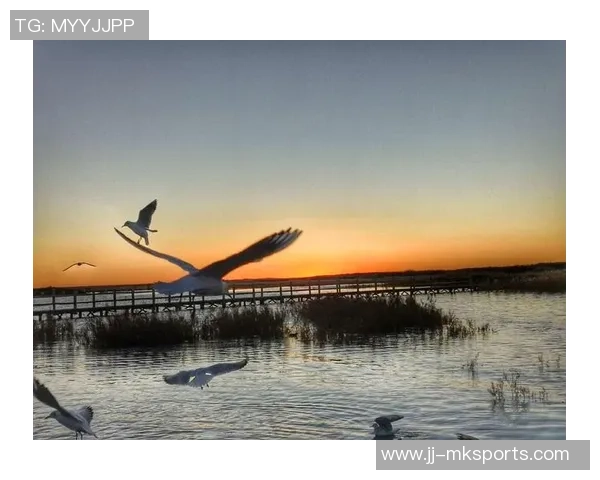 足球小将雷兽的成长之路与梦想追逐的精彩故事